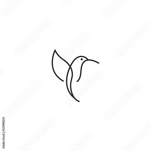 Minimalist Calibri Bird Logo Design Icon