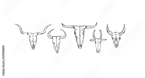 Hand drawn abstract vector graphic clipart illustration boho country bull skull collection set.Wild Western design.Boho wild west contemporary art.Cowboy modern line art drawing.American cowboy logo.