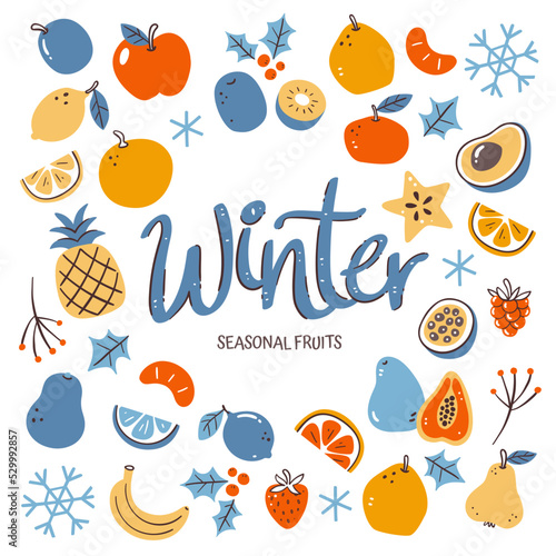 Seasonal fruits background. Winter fruit composition made of colorful hand-drawn vector icons, isolated on white background.