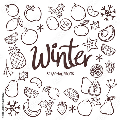 Seasonal fruits background. Hand-drawn winter fruit composition made of doodle vector icons, isolated on white background.