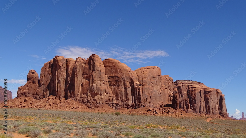 Fototapeta premium natura ed arte