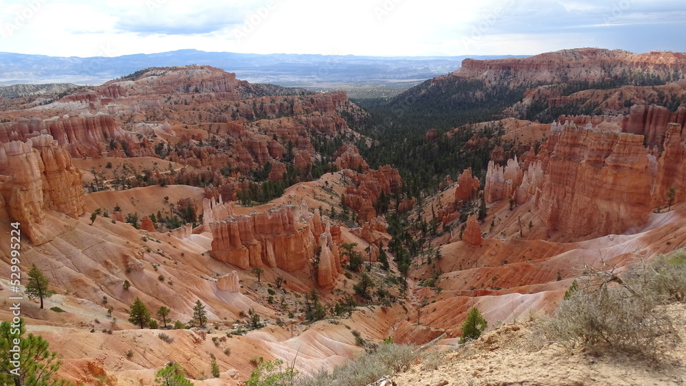 America: spazi, grand canyon, natura, bosco e fiume. Mulino, mare e montagna.