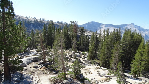 America: spazi, grand canyon, natura, bosco e fiume. Mulino, mare e montagna.