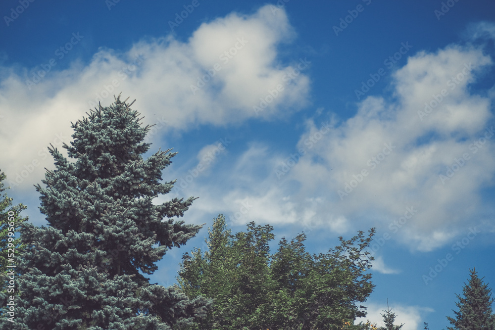 北海道の秋の青空 北海道の秋の青空