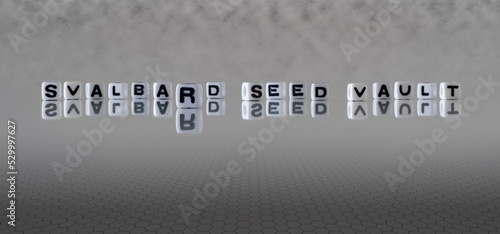 svalbard seed vault word or concept represented by black and white letter cubes on a grey horizon background stretching to infinity