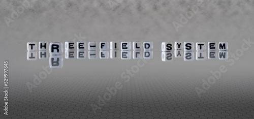 three field system word or concept represented by black and white letter cubes on a grey horizon background stretching to infinity