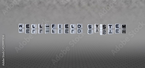 well field system word or concept represented by black and white letter cubes on a grey horizon background stretching to infinity photo