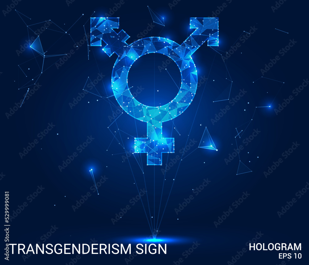 The hologram is a transgender sign. A transgender sign made of polygons