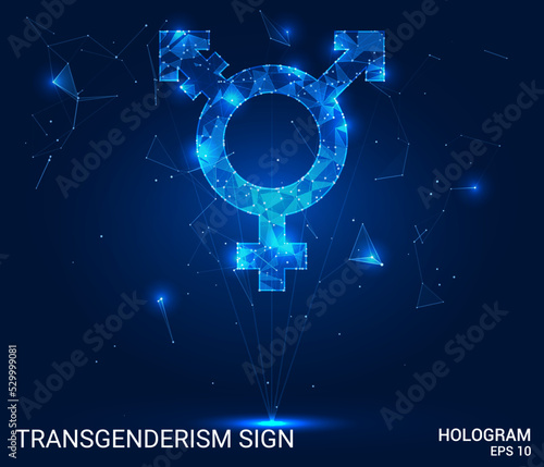 The hologram is a transgender sign. A transgender sign made of polygons, triangles of points and lines. The transgender sign icon is a low-poly compound structure. Technology concept vector.