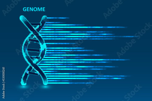 Big genomic data visualization