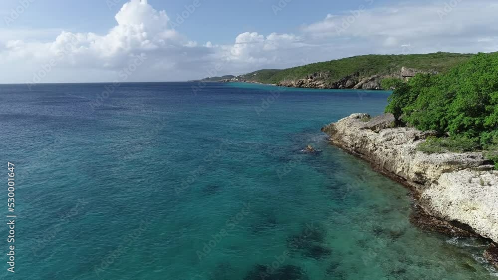 drone flying over coast line with cacti and plants with clear ocean water caribbean drone flying over coast line with cacti and plants with clear ocean water caribbean