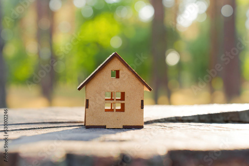 Toy house on a tree stump outdoors