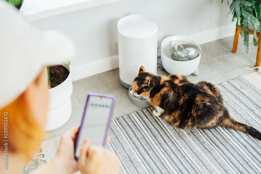 Smartphone pet feeder hotsell