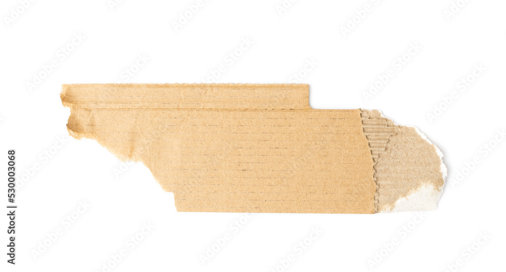 Cardboard, Carton, Ripped Kraft Paper, Wrapping Piece Cardboard, Carton, Ripped Kraft Paper, Wrapping Piece