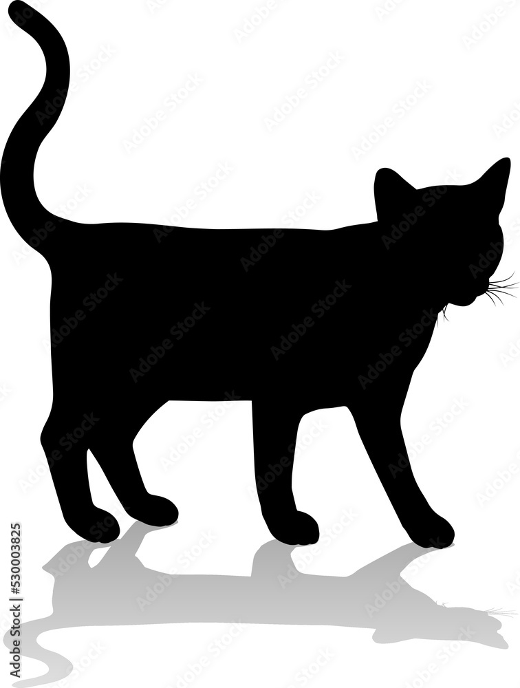 Silhouette Cat Pet Animal