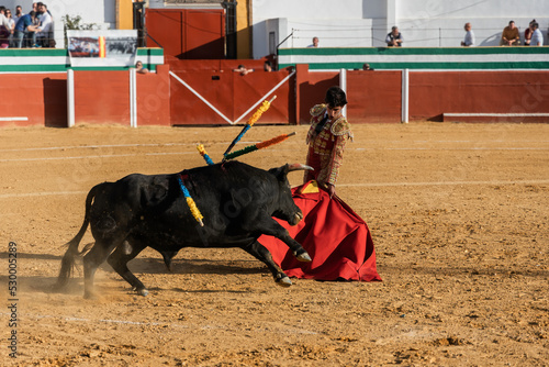 Young torero fighting with bull on bullring
