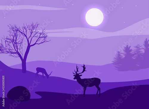 Deer in the winter on a night field