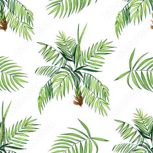 Watercolor palm plant seamless pattern on white background. Hand drawing kentia or parlor plant illustration. Perfect for wallpaper, textile, print.