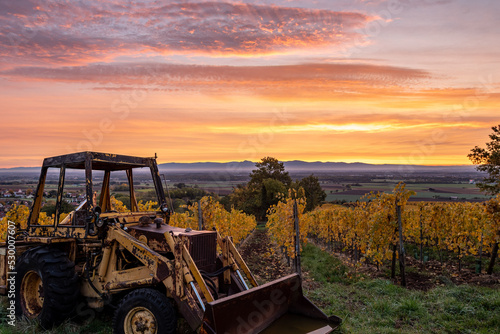 Pelleteuse dans les vigne