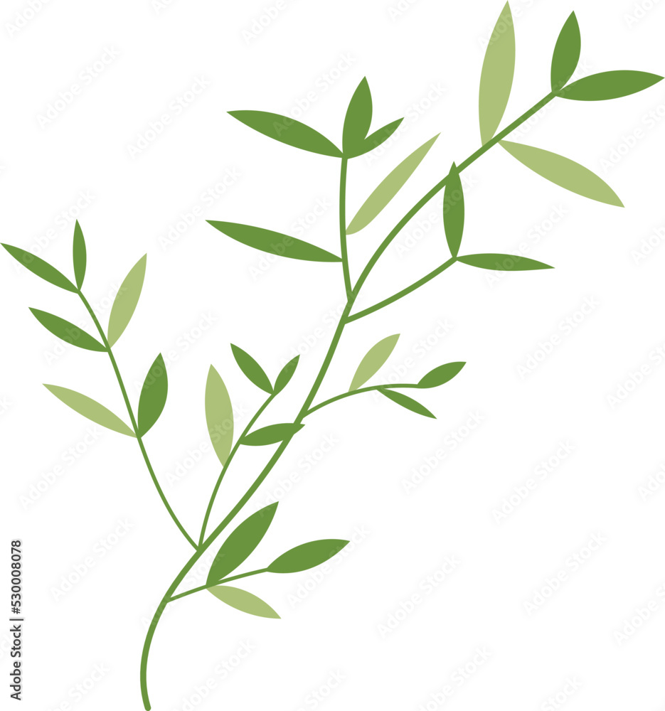 Organic Bamboo Leaves Trees Illustration Organic Bamboo Leaves Trees Illustration
