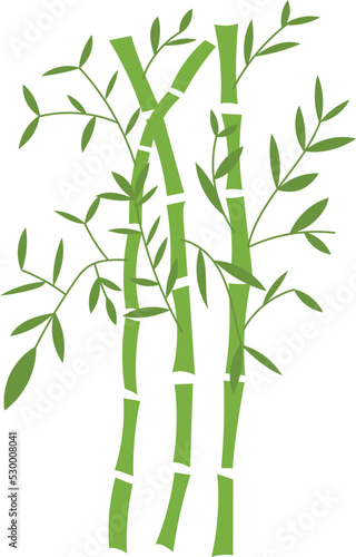 Organic Bamboo Leaves Trees Illustration
