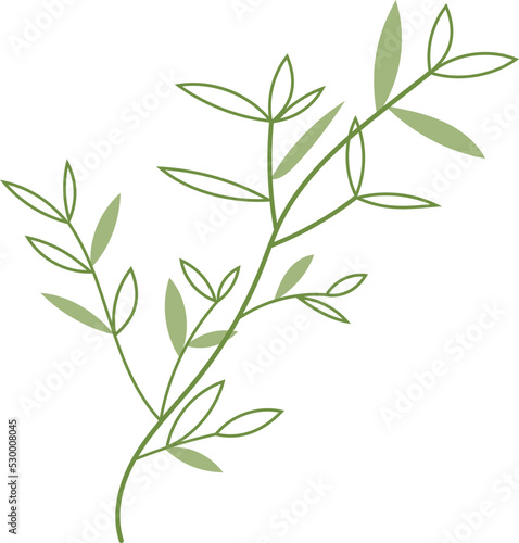 Organic Bamboo Leaves Trees Illustration