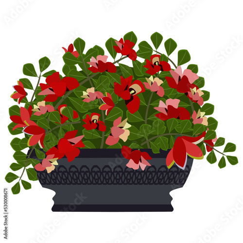 Blooming cascading red flowers in a flower pot. Vector illustration. Summer bright colors