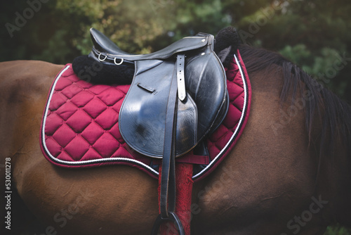 Horseback riding saddle and horse equipment on a dark background. Saddle pad, stirrups, stirrup leathers