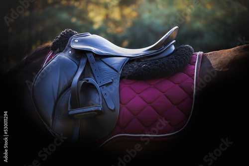 Horseback riding saddle and horse equipment on a dark background. Saddle pad, stirrups, stirrup leathers