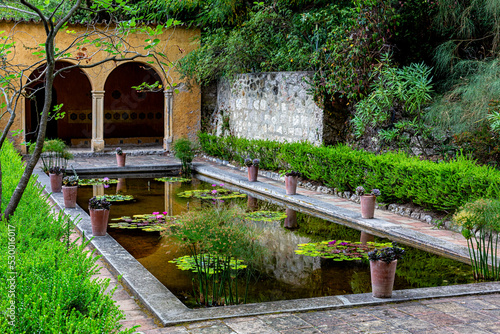 Moorish garden with a Pool with water lily in the France. Jardin Serre de la Madone, with rare plantings. Summer. Menton,