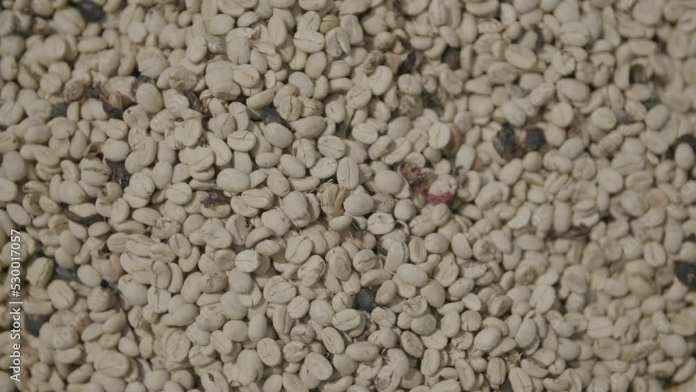 Slow motion pan across drying coffee beans, Slow motion pan across drying coffee beans,