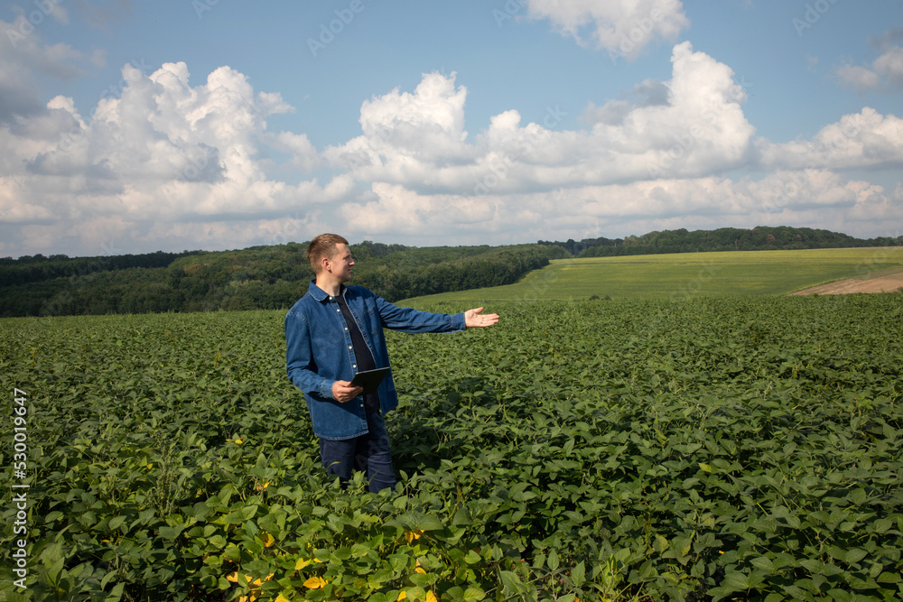 A farmer with a digital tablet checks the quality of soybeans in an agricultural field and points with his hand into the distance. Front view