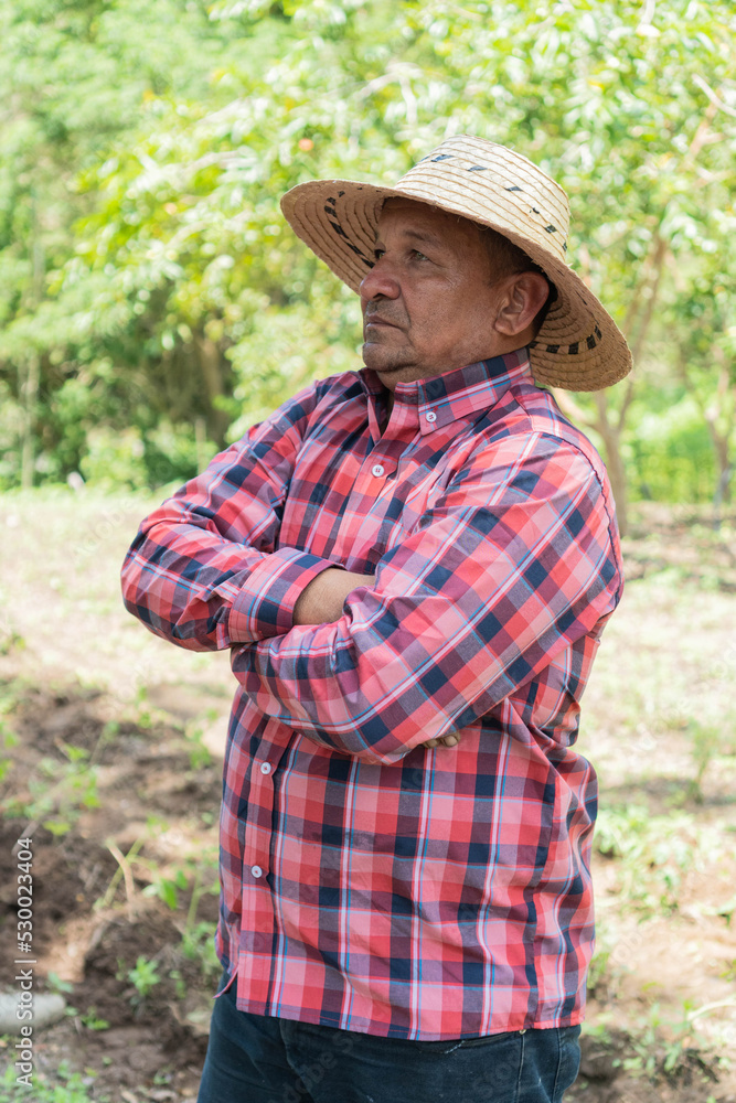 Hispanic farmer standing alone in his crop