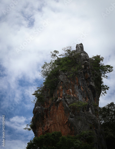 limestone tower covered by green trees