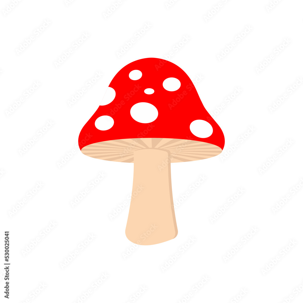 Vector illustration of a simple mushroom. Red fly agaric mushroom Vector illustration of a simple mushroom. Red fly agaric mushroom