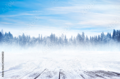 snow-covered wooden walkways in the foreground. defocused background of a winter forest