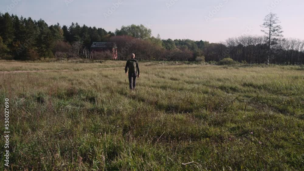 Back View of the Man Tourist with Backpack Walks Along the Green Meadow Glade