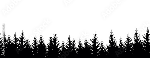 Vector seamless pattern with silhouettes of trees on white background