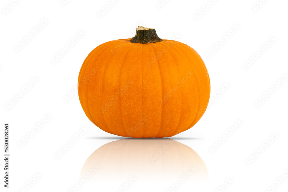 Obraz premium Orange fresh pumpkin isolated on white background.