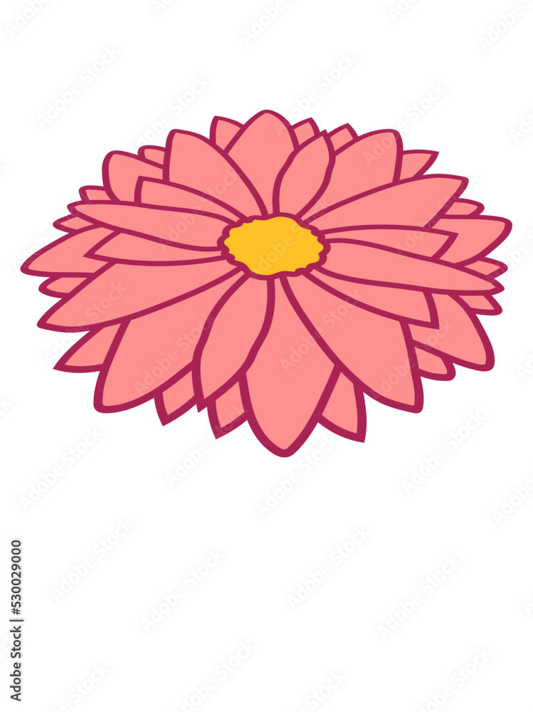 Fototapeta premium Hübsche bunte Blume Design 