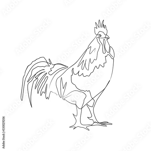 Vector illustration of a rooster in line-art style