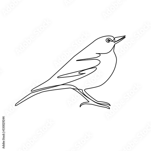Vector illustration of bird in line art style