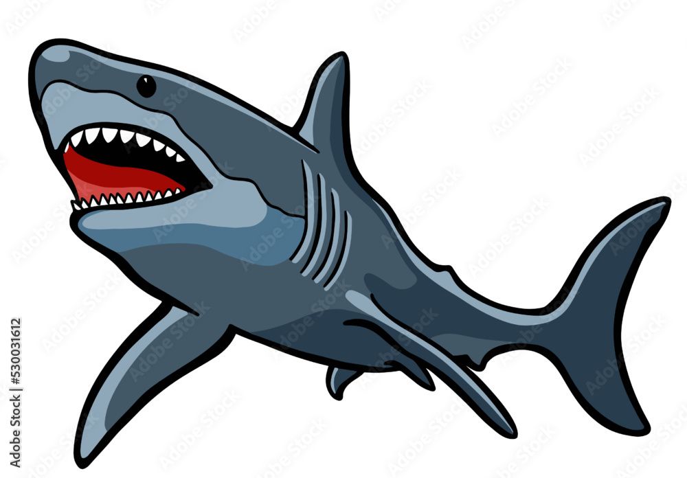 shark cartoon isolated on white Stock Vector | Adobe Stock