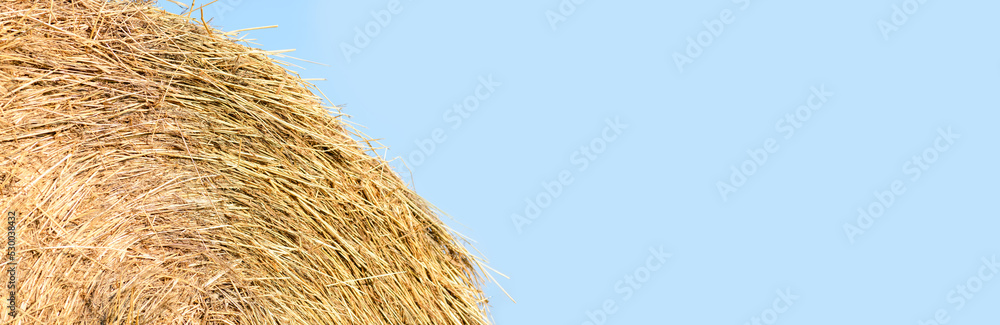 Fototapeta premium Haystack against the blue sky, close-up. Harvest concept. Rural scenery. Banner