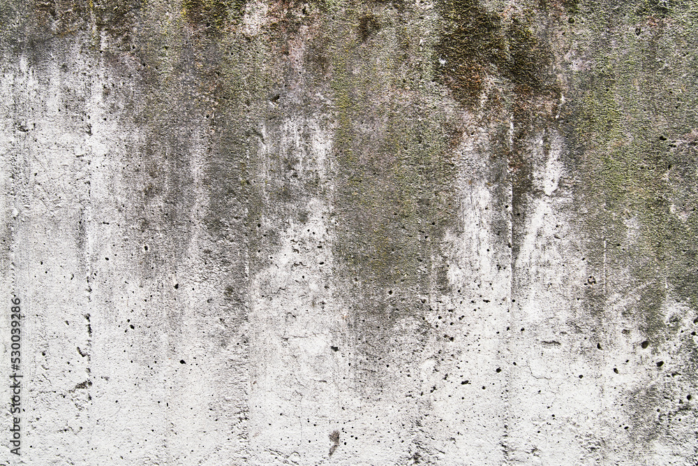 Fototapeta premium Concrete wall texture with rusty surface. Classic cement surface background