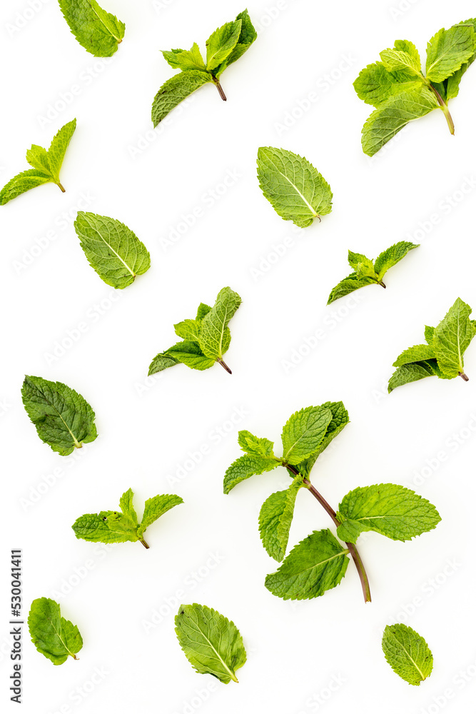 Herbs pattern with green mint leaves, top view Herbs pattern with green mint leaves, top view