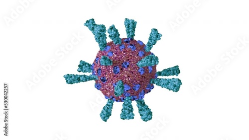 Loopable with Alpha Matte: Single rotating coronavirus virion particle isolated on white background. Stylyzed SARS-CoV-2 (COVID-19) coronavirus 3D animation. photo