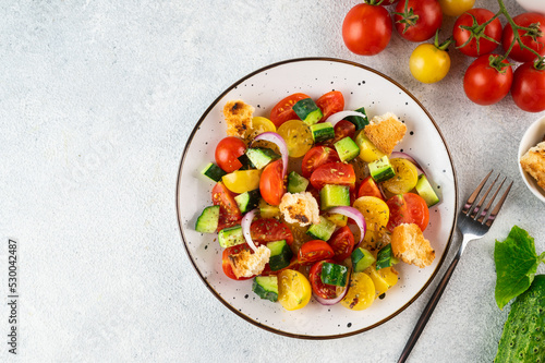 Vegetarian salad Panzanella with tomatoes, onion and bread Croutons. Light background. Top view. Italian salad
