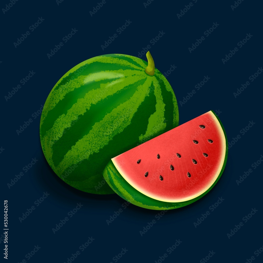 Watermelon and slice illustration. Juicy fruits. Watermelon and slice illustration. Juicy fruits.