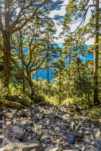 Landscape View Of Yushan Mountains On The Trail To Mt. Jade Front Peak, Yushan National  Park, Chiayi, Taiwan photo